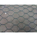 PVC coated Hexagonal Wire Mesh